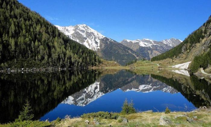 Das Gries سخلادميخ المظهر الخارجي الصورة